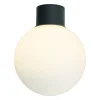 Aneta Lighting plafondi ulkovalaisin Saltvik musta/valkoinen