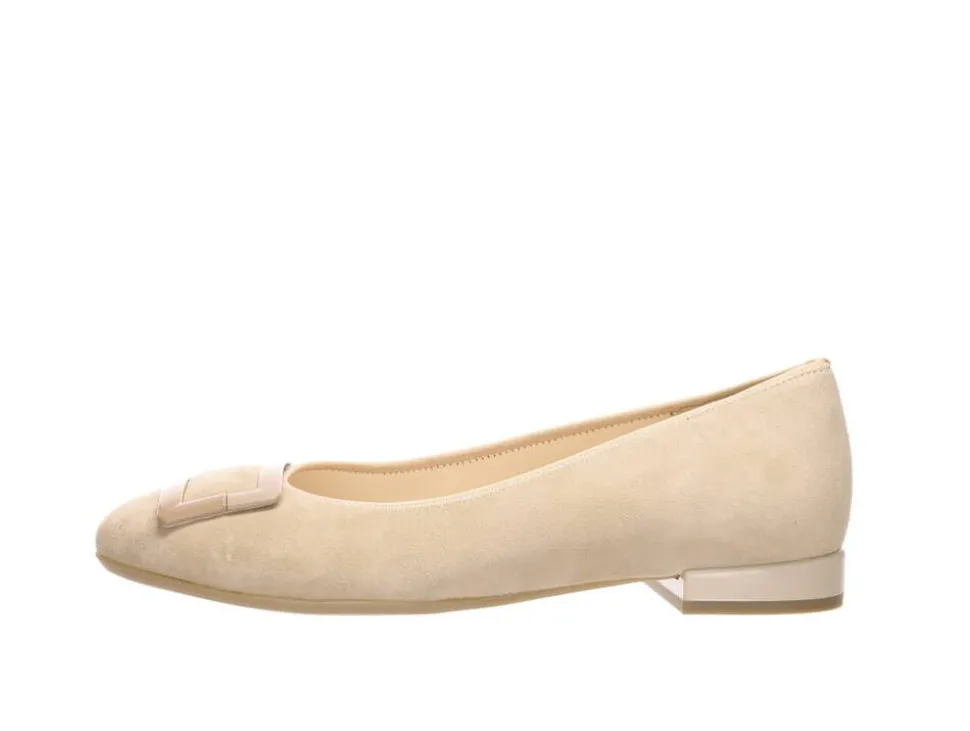 Ara ballerinat Siena