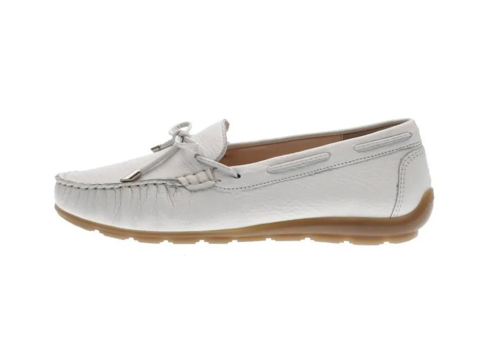 Ara loaferit Alabama