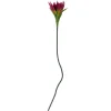 Bloomingville koristeoksa Lily violetti