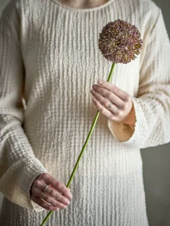 Bloomingville koristeoksa Allium ruskea
