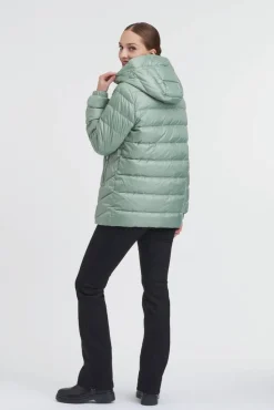 Create untuvatakki SOFIA