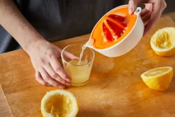 Fiskars Functional Form Sitruspuristin