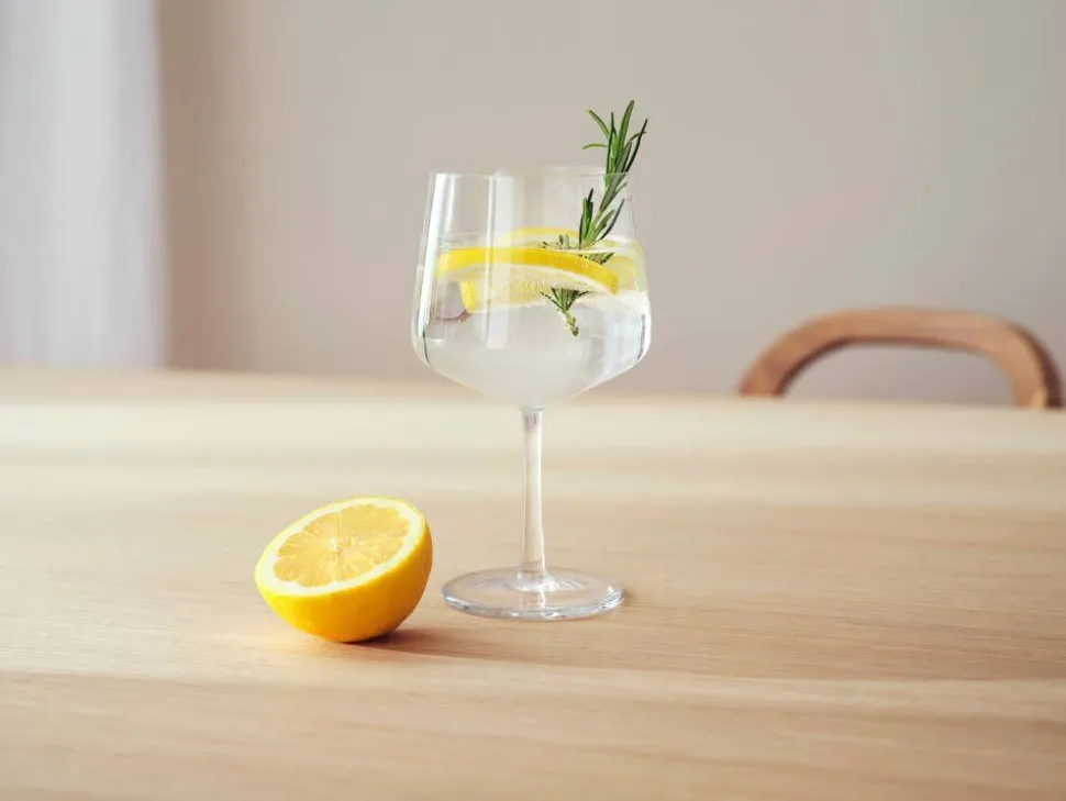 Iittala Essence coctaillasi 63 cl 2 kpl