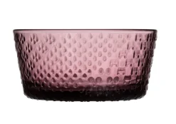 Iittala Tundra kulho 25 cl kanerva