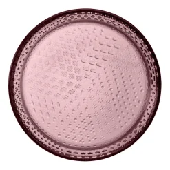 Iittala Tundra lautanen 154 mm kanerva