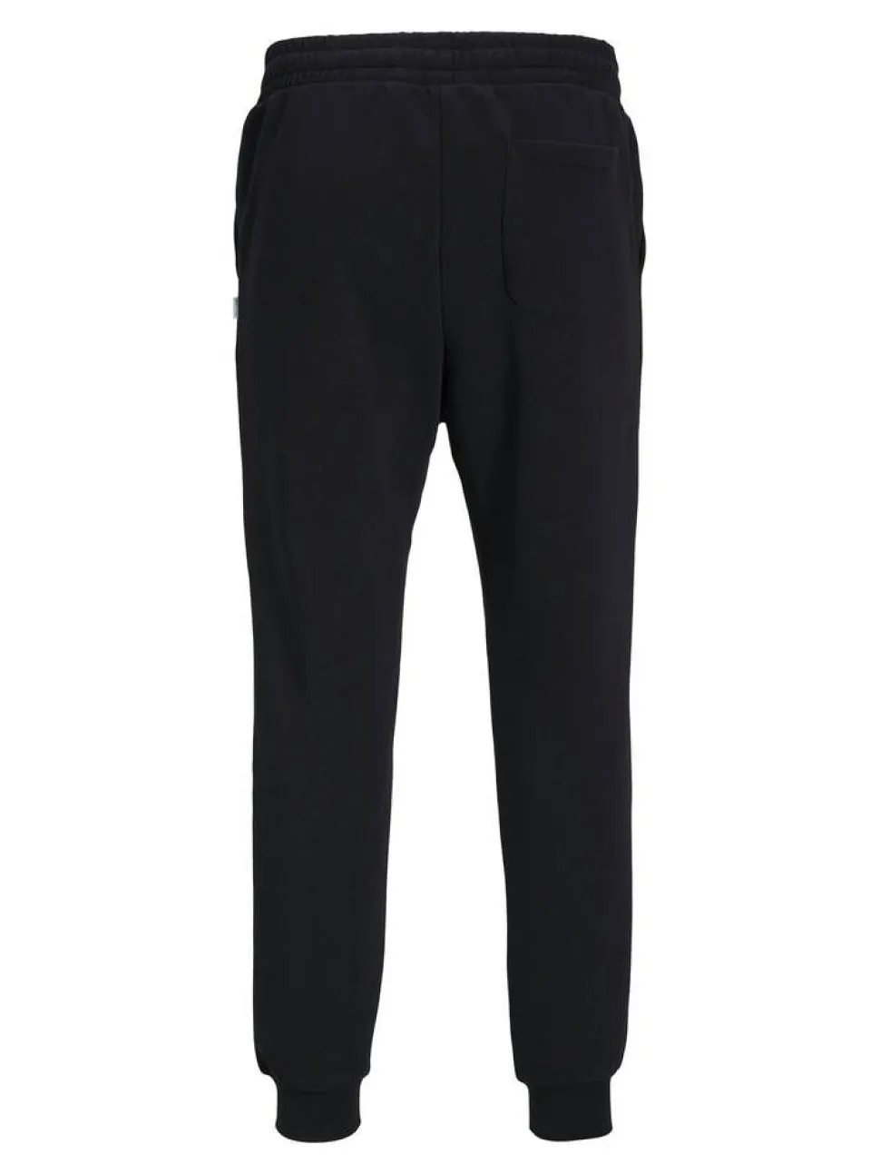 Jack & Jones Plus collegehousut Jpstgordon