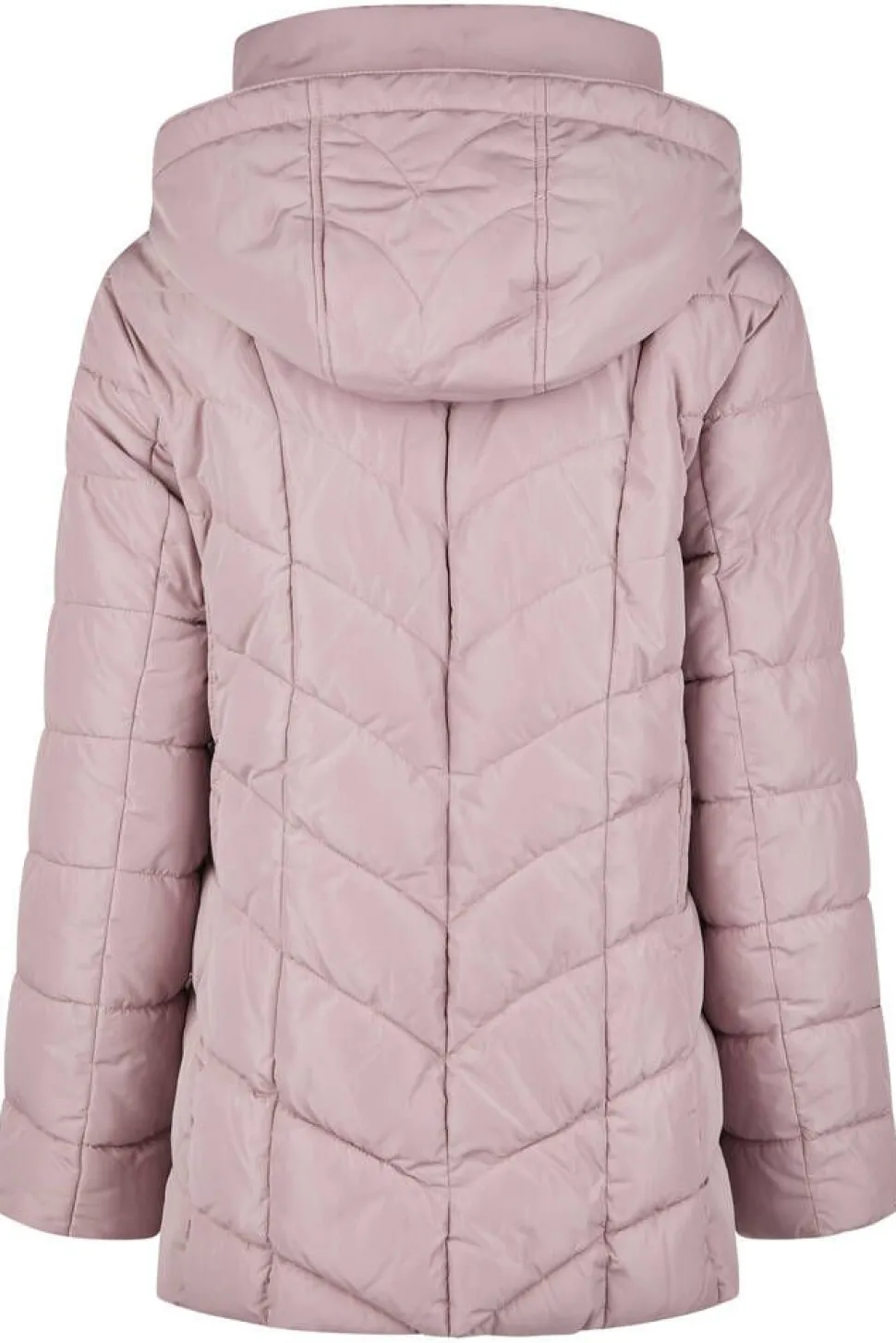 Lebek takki 30290052