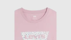 Levi's T-paita Perfect tee