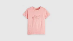 Levi's t-paita Graphic Boxy t-shirt