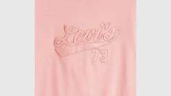 Levi's t-paita Graphic Boxy t-shirt