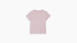 Levi's t-paita Perfect T-shirt Shimmer BW