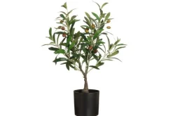 4Living oliivipuu ruukussa 60 cm