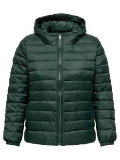 Only Carmakoma takki Cartahoe Hood