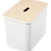Smartstore Collect lajitteluastia vanerikannella 76 L  valkoinen