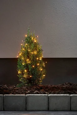 Star Trading valosarja Golden Warm White 40 LED musta 2,8m