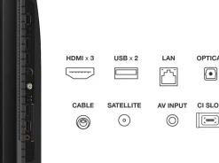 Tcl QLED-TV 65