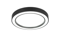 Trio Lighting LED kattovalaisin Arco 40 cm mattamusta RGBW