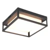 Trio Lighting LED kattovalaisin Witham antrasiitti