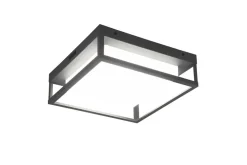 Trio Lighting LED kattovalaisin Witham antrasiitti
