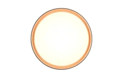 Trio Lighting LED kattovalaisin Felis 40 cm musta/kulta