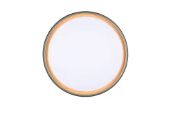 Trio Lighting LED kattovalaisin Felis 40 cm musta/kulta