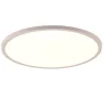 Trio Lighting LED kattovalaisin Aureo 40 cm mattavalkoinen R
