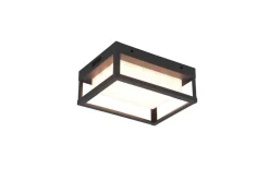 Trio Lighting LED seinävalaisin Witham antrasiitti