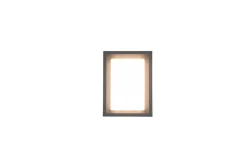 Trio Lighting LED seinävalaisin Witham antrasiitti