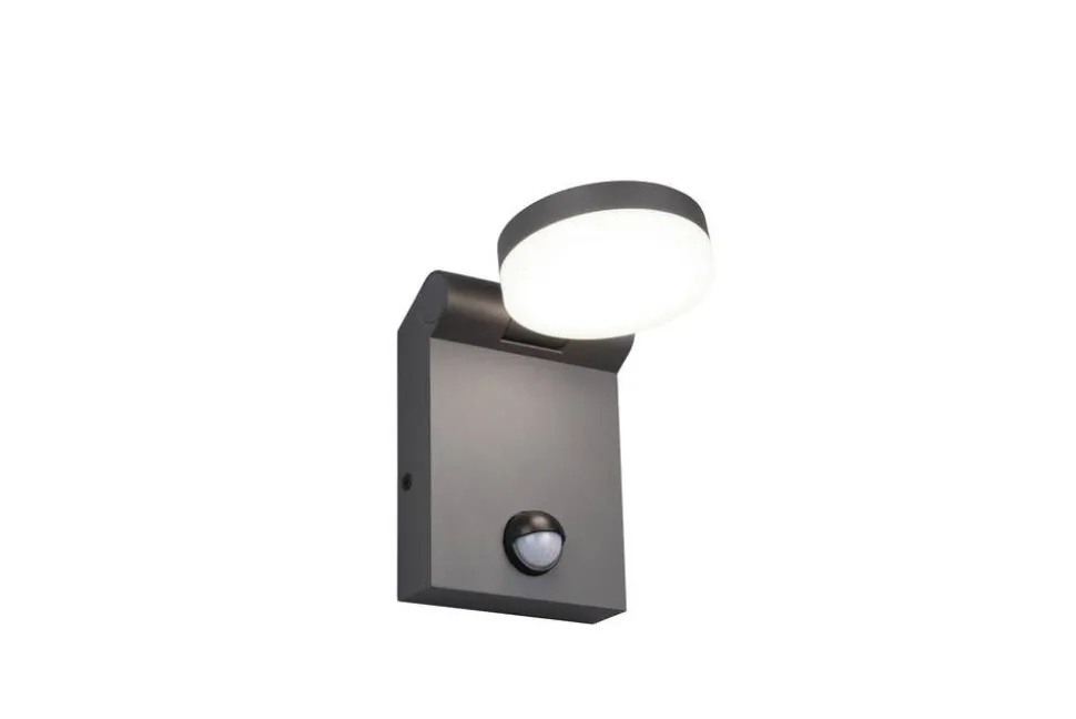 Trio Lighting LED seinävalaisin Adour antrasiitti liiketunni