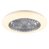 Trio Lighting LED tuuletinkattovalaisin Stralsund harmaa sta