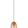 Trio Lighting riippuvalaisin Bidar 1-os E27 kahvinruskea