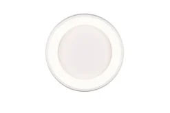 Trio Lighting kattovalaisin Cardona LED 47 cm mattavalkoinen