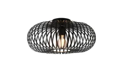Trio Lighting kattovalaisin Johann 40 cm E27 mattamusta