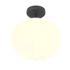 Trio Lighting kattovalaisin Fomento E27 mattamusta/valkoinen