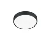 Trio Lighting LED kattovalaisin Waco 30 cm mattamusta