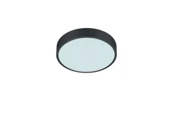 Trio Lighting LED kattovalaisin Waco 30 cm mattamusta