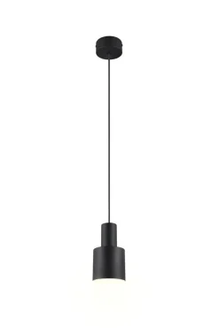 Trio Lighting riippuvalaisin Agudo 1-os E27 kellertävänruske
