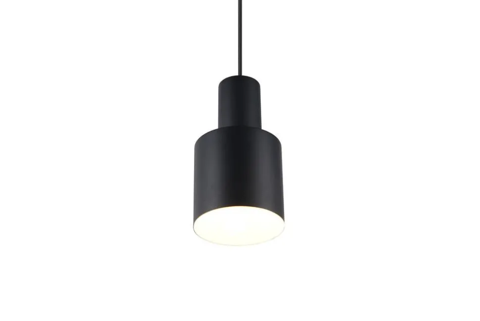 Trio Lighting riippuvalaisin Agudo 1-os E27 kellertävänruske