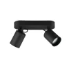 Trio Lighting spottivalaisin Pago 2-os GU10 mattamusta