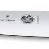 Victorinox Kokkiveitsi 22 cm puukahvalla
