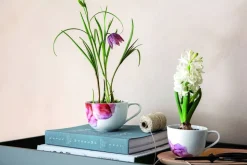 Villeroy&Boch Rose Garden aamiaiskuppi 0,45l
